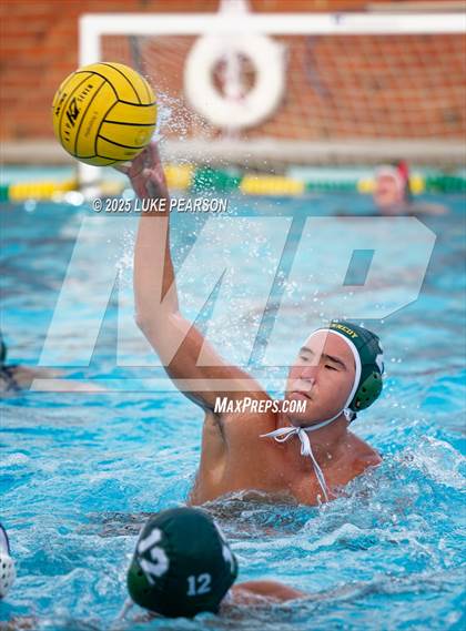 Thumbnail 2 in Tokay @ Kennedy photogallery.