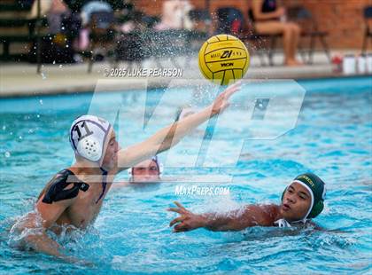 Thumbnail 2 in Tokay @ Kennedy photogallery.