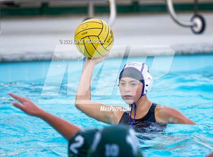 Thumbnail 2 in Tokay @ Kennedy photogallery.