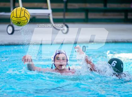 Thumbnail 2 in Tokay @ Kennedy photogallery.