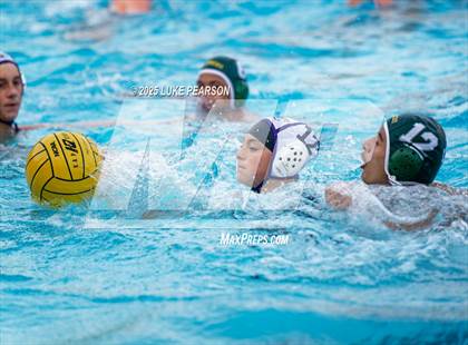 Thumbnail 3 in Tokay @ Kennedy photogallery.
