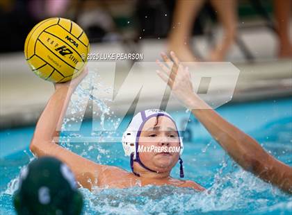 Thumbnail 2 in Tokay @ Kennedy photogallery.