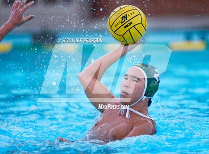 Thumbnail 2 in Tokay @ Kennedy photogallery.
