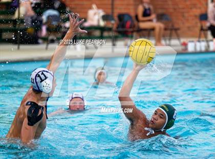 Thumbnail 1 in Tokay @ Kennedy photogallery.