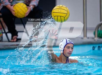 Thumbnail 1 in Tokay @ Kennedy photogallery.