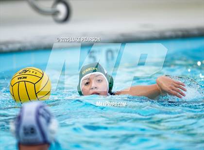 Thumbnail 1 in Tokay @ Kennedy photogallery.