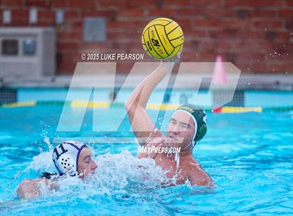 Thumbnail 1 in Tokay @ Kennedy photogallery.