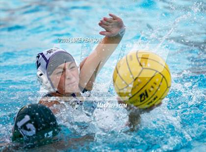Thumbnail 1 in Tokay @ Kennedy photogallery.