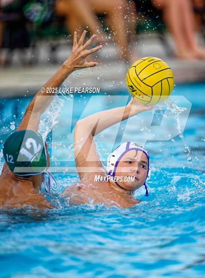 Thumbnail 1 in Tokay @ Kennedy photogallery.