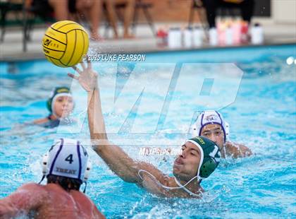 Thumbnail 1 in Tokay @ Kennedy photogallery.