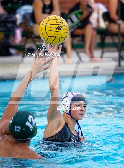 Thumbnail 1 in Tokay @ Kennedy photogallery.