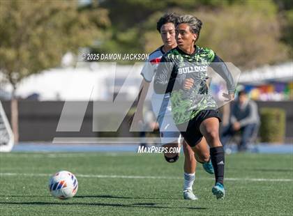 Thumbnail 1 in Truckee vs Virgin Valley (3A State Semifinals) photogallery.