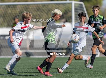 Thumbnail 2 in Truckee vs Virgin Valley (3A State Semifinals) photogallery.