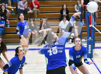 Thumbnail 3 in Chandler @ Xavier College Prep photogallery.