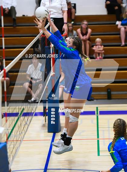 Thumbnail 2 in Chandler @ Xavier College Prep photogallery.