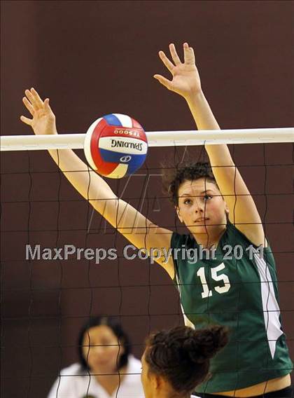 Thumbnail 3 in Long Beach Poly vs. Palo Alto (CIF D1 State Final) photogallery.