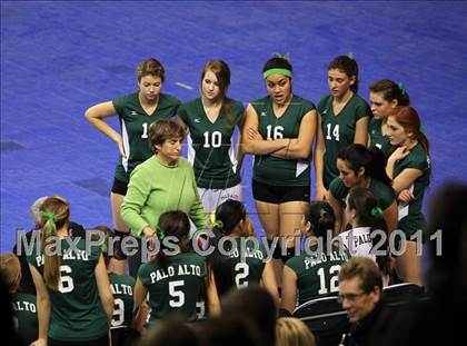 Thumbnail 2 in Long Beach Poly vs. Palo Alto (CIF D1 State Final) photogallery.