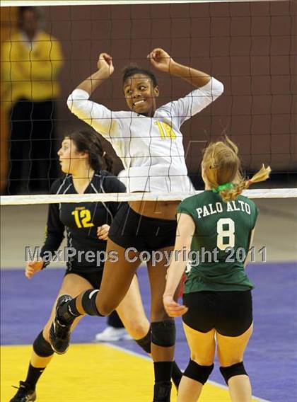 Thumbnail 1 in Long Beach Poly vs. Palo Alto (CIF D1 State Final) photogallery.