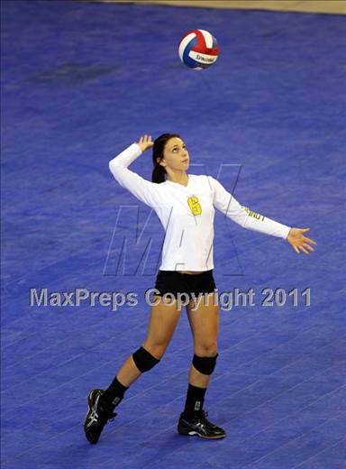 null - Photo 51