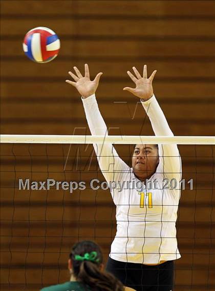 Thumbnail 2 in Long Beach Poly vs. Palo Alto (CIF D1 State Final) photogallery.