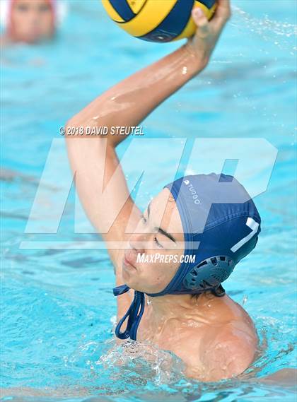 Thumbnail 2 in Antelope @ Inderkum photogallery.