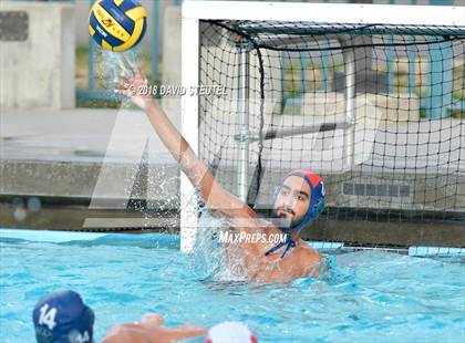 Thumbnail 1 in Antelope @ Inderkum photogallery.