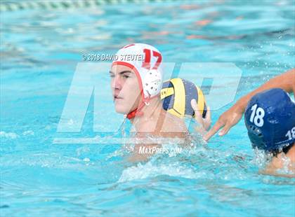 Thumbnail 3 in Antelope @ Inderkum photogallery.