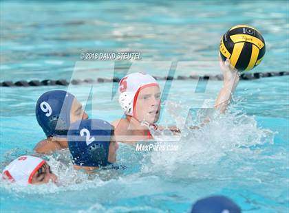 Thumbnail 2 in Antelope @ Inderkum photogallery.