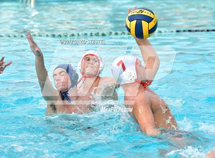 Thumbnail 3 in Antelope @ Inderkum photogallery.