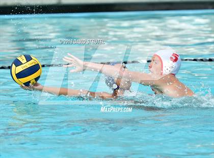 Thumbnail 2 in Antelope @ Inderkum photogallery.
