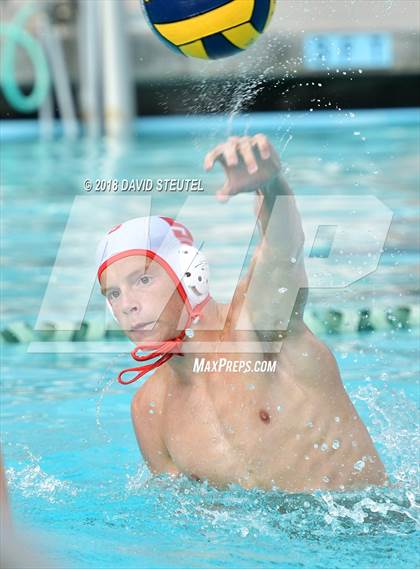 Thumbnail 2 in Antelope @ Inderkum photogallery.