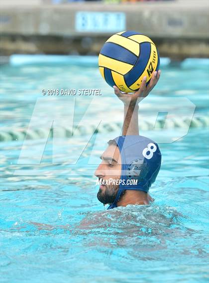 Thumbnail 2 in Antelope @ Inderkum photogallery.