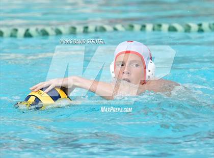 Thumbnail 1 in Antelope @ Inderkum photogallery.
