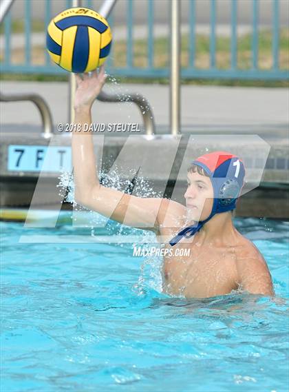 Thumbnail 1 in Antelope @ Inderkum photogallery.