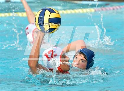 Thumbnail 3 in Antelope @ Inderkum photogallery.