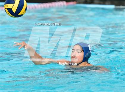 Thumbnail 3 in Antelope @ Inderkum photogallery.