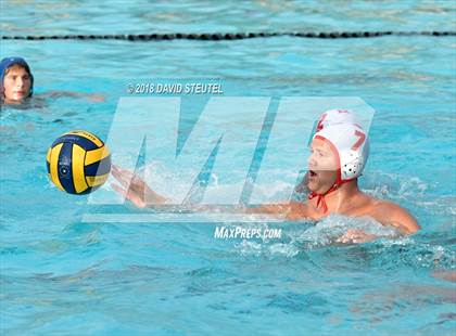 Thumbnail 2 in Antelope @ Inderkum photogallery.