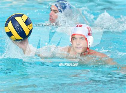 Thumbnail 1 in Antelope @ Inderkum photogallery.