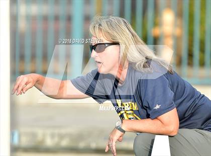 Thumbnail 3 in Antelope @ Inderkum photogallery.