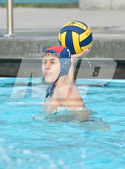 Thumbnail 2 in Antelope @ Inderkum photogallery.