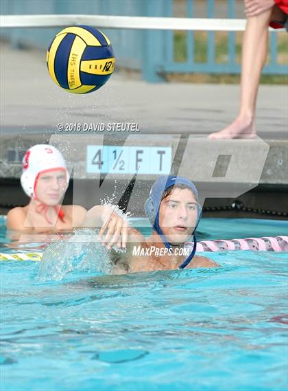 Thumbnail 2 in Antelope @ Inderkum photogallery.