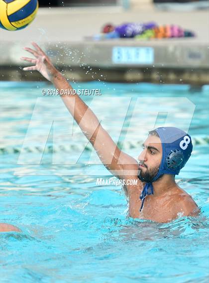 Thumbnail 3 in Antelope @ Inderkum photogallery.