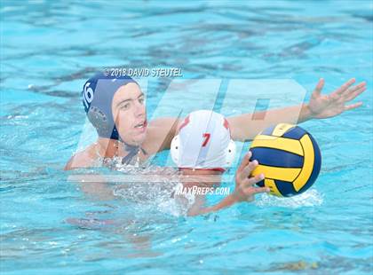 Thumbnail 3 in Antelope @ Inderkum photogallery.