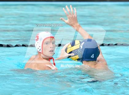 Thumbnail 3 in Antelope @ Inderkum photogallery.