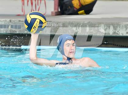 Thumbnail 3 in Antelope @ Inderkum photogallery.