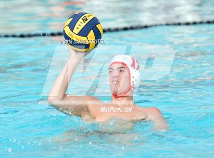 Thumbnail 1 in Antelope @ Inderkum photogallery.
