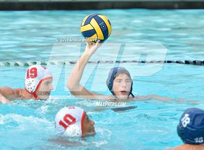 Thumbnail 1 in Antelope @ Inderkum photogallery.