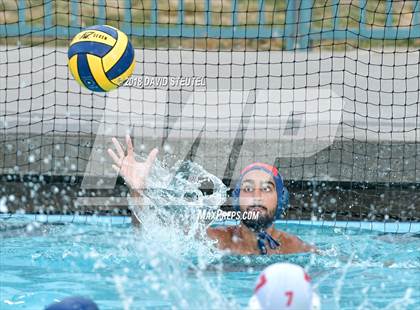 Thumbnail 1 in Antelope @ Inderkum photogallery.