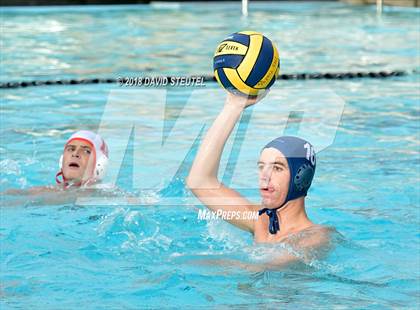 Thumbnail 1 in Antelope @ Inderkum photogallery.