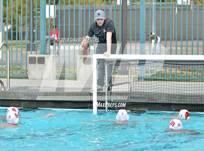 Thumbnail 3 in Antelope @ Inderkum photogallery.